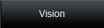 Vision